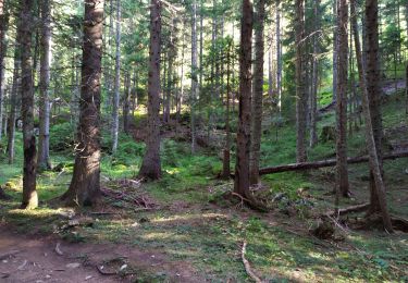 Trail Walking  - randonnée - Photo