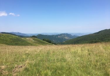 Trail Walking Lizzano in Belvedere - Poggiolforato-Dardagna Falls-Refugio Le Malghe-Madonna dell’Avero - Photo