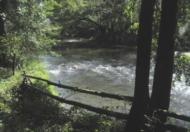 Excursión A pie Sasca Montană - Șopotu Nou – Cheile Nerei – Sasca Română (red stripe) - Photo