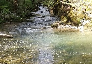 Tour Wandern Coteaux du Lizon - vallée du Lison - Photo