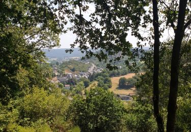 Tocht Stappen Viroinval - Mazée, sur le sentier des Douaniers - Photo