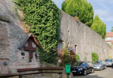 Excursión A pie Bad Orb - Bad Orb Zubringerweg 25 (Friesenheiligen) - Photo