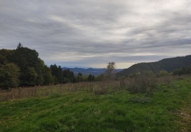 Randonnée Marche La Fajolle - La forêt de La Fajolle - Photo
