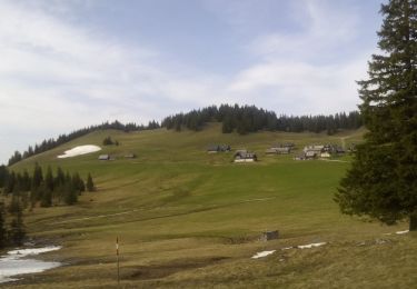 Randonnée A pied Gemeinde Neuberg an der Mürz - Scheiterboden-Hinteralm - Photo