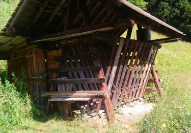 Randonnée Marche Modane - Valfréjus Granges Areplane Les Herbiers Boucle  - Photo