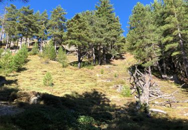 Excursión Senderismo Corte - 13 - Du pont de Tragone au lac d’Oriente - Photo