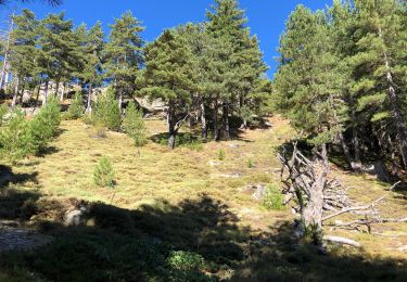 Tocht Stappen Corte - 13 - Du pont de Tragone au lac d’Oriente - Photo