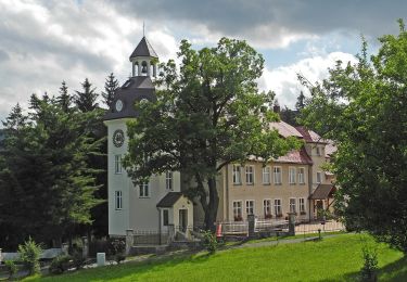 Tour Zu Fuß  - Regionalny Szlak Serduszkowy - Photo