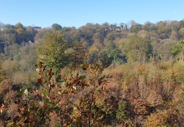 Tour Wandern Ham-sur-Heure-Nalinnes - Du Pré al Roch au hameau l'Amérique - Photo