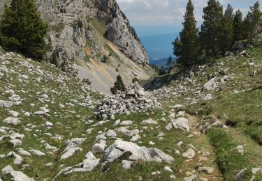 Trail Walking Saint-Michel-les-Portes - Pas des Bachasson. Boucle - Photo