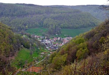 Randonnée A pied Lenningen - Oberlenningen - Krebsstein - Photo