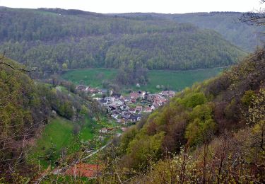 Tocht Te voet Lenningen - Oberlenningen - Krebsstein - Photo