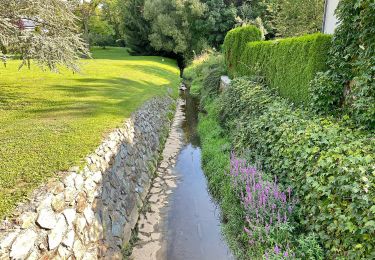 Tocht Te voet Bad Tatzmannsdorf - Walking/Wanderweg W11 - Photo