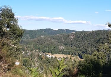 Excursión Senderismo Champs-sur-Tarentaine-Marchal - La balade de Peyroux - Photo