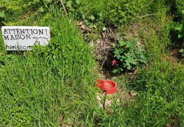 Tour Wandern Parmain - Auvers Valhemeil - Photo