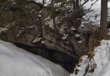 Trail Walking Corrençon-en-Vercors - 38 tête chaudières zel 27.02.25 raq - Photo