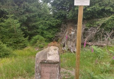 Tocht Stappen Walscheid - Elsassblick Col de la Sayotte - Photo