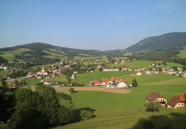 Excursión A pie Semriach - R7 Tannebenwald-Rundweg - Photo