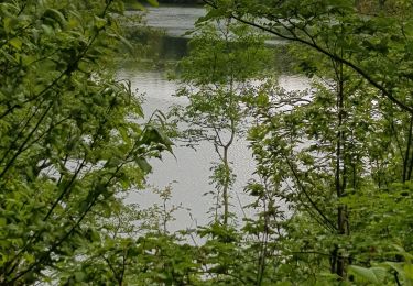 Randonnée Marche Boissezon - 81-Le Rampaillou Boissezon (Parcours moyen)-18-05-2019 - Photo