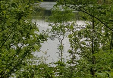 Tour Wandern Boissezon - 81-Le Rampaillou Boissezon (Parcours moyen)-18-05-2019 - Photo