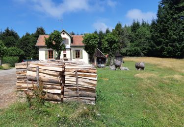 Excursión Senderismo Barr - Autour de la vallée de la Kirneck - Photo