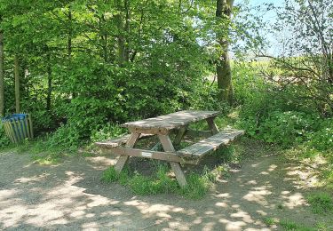 Trail On foot Heiligenhaus - Abtsküche Rundweg A6 - Photo