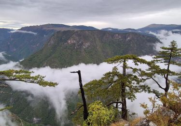 Tour Wandern  - Monténégro  j3.2 - Photo