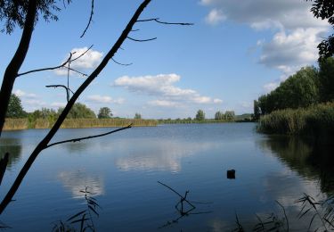 Trail On foot  - Bornim - Bf. Park Sanssouci über Grube - Photo