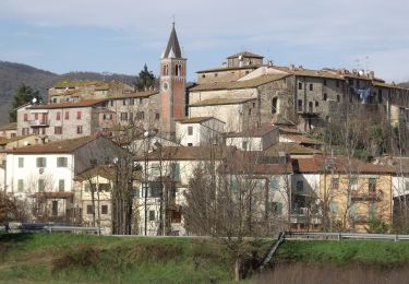 Tour Zu Fuß Bucine - IT-103 - Photo