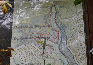 Tour Wandern Verviers - 20211018 - Lambermont 7.1 Km - Photo