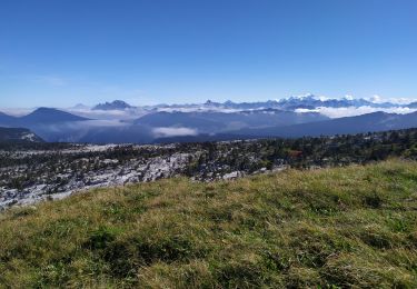 Tocht Stappen Fillière - la tête du Parmeka  - Photo