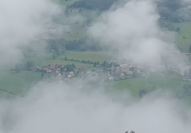 Tour Wandern Seyne - SEYNES LES ALPES Bas et haut Chardavon  , balade de la Rochette , ravin des Ganiayes , les Côtes n - Photo