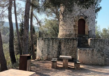 Trail Walking Le Tholonet - Zola-Bimont-23-03-22 - Photo