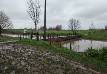 Percorso Marcia Dentergem - Wakken - Photo