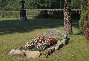 Percorso A piedi Faßberg - Südheide 'Fluss-Wald-Erlebnispfad' W3m (mittlere Tour) - Photo