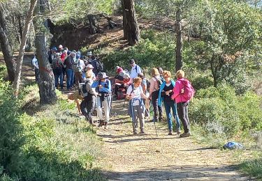 Tour Wandern Villeneuve-Minervois - Villeneuve Mvois - Photo