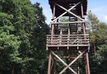 Tocht Stappen Malmedy - GR 14 MALMEDY-BASSE BODEUX - Photo