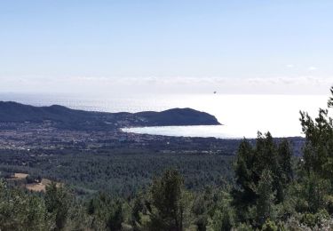 Tocht Stappen Ceyreste - Grand Caunet, télégraphe, revers du Bosquié - Photo