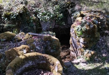 Trail Walking Corn - fontaine de crayssac - Photo