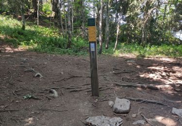 Randonnée Marche Autrans-Méaudre en Vercors - la Buffe - Photo