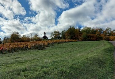 Tour Wandern Jongieux - jongieux - Photo