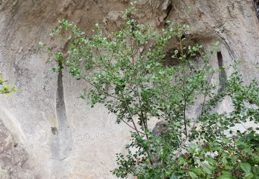 Randonnée Marche Lussan - les concluses - Photo