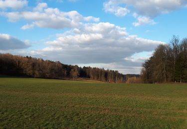 Trail Walking Durbuy - Barvaux - Photo