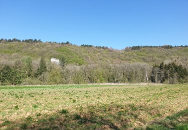 Tour Wandern Viroinval - Marche Adeps à Dourbes - Photo