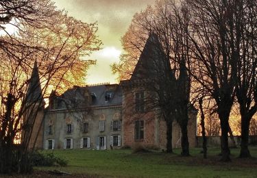 Excursión A pie Saint-Étienne-sur-Usson - La Ronde des Suquets - Photo