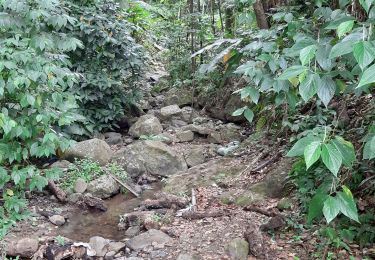 Excursión Senderismo Fort-de-France - Boucle d'Absalon via Les Bénédictins et Morne Bois d'Inde. - Photo