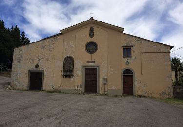 Tour Zu Fuß Pelago - Sorgenti di Firenze Trekking – Anello Principale: Tappa 6 - Photo