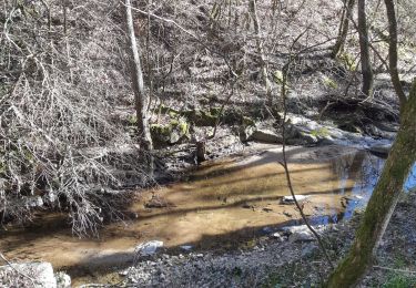 Tocht Stappen Arras-sur-Rhône - Arras - Photo