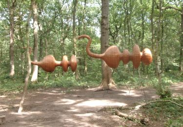 Trail Walking Canteleu - 20240903-La Foret Monumentale - Photo