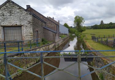 Excursión Senderismo Gedinne - La Croix du Garde - Photo